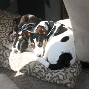 Meet your Posher, John